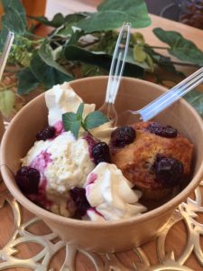vegan icecream and GF muffin